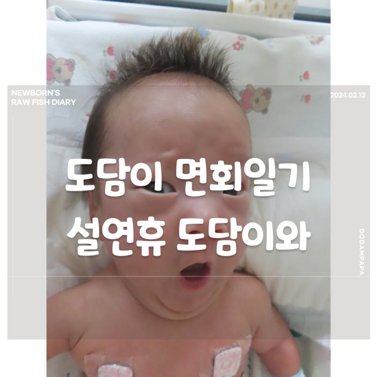 도담이 면회일기 설연휴 마지막도 도담이와 함께 도담이 면회일기 설연휴 마지막도 도담이와 함께