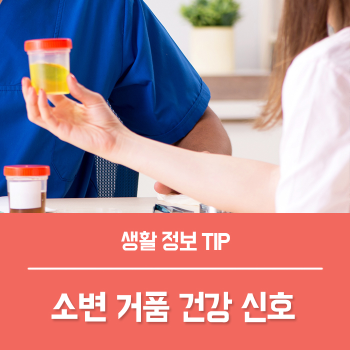  남자 여자 소변 거품, 거품뇨 단백뇨 원인과 대처 소변 냄새 건강 신호!