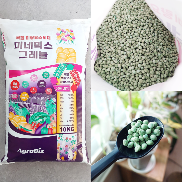  칼슘유황 미량요소 복합비료 식물영양제 사용법 주는법