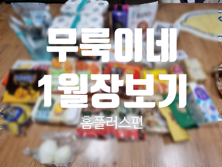  이제야 올려보는 홈플러스 1월 장보기