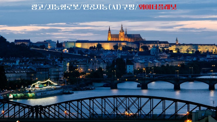  광고/지능형로봇/인공지능(AI)쿠팡/와이더플래닛