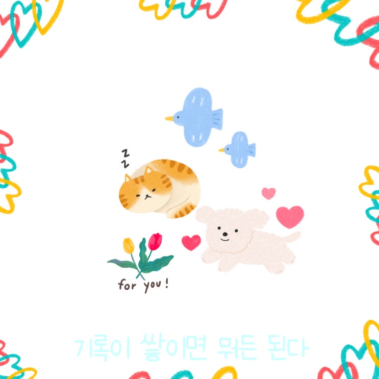  매일 글쓰기 0213