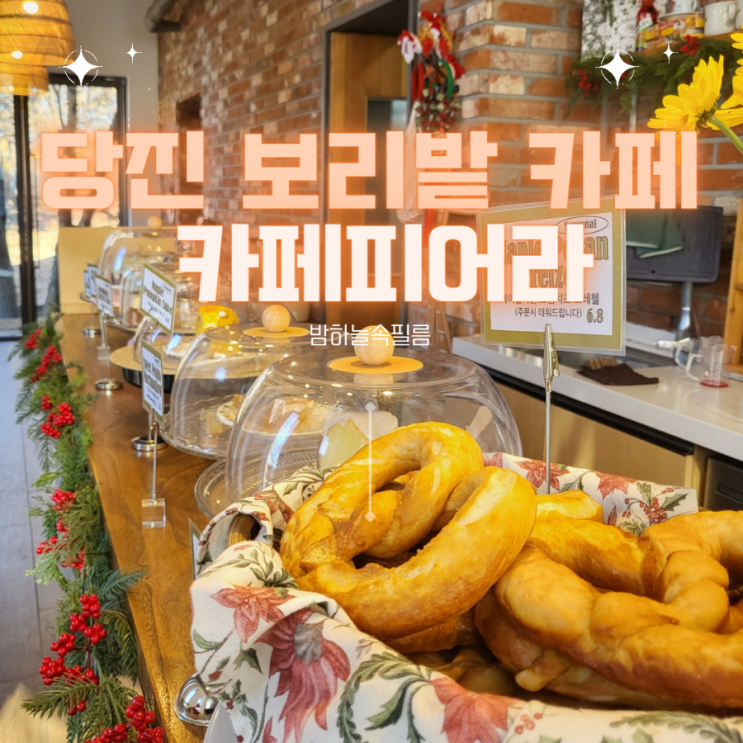  당진 청보리밭과 고양이가 있고 버터바가 맛있는 카페 - "카페피어라"