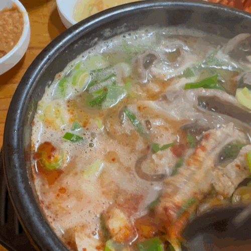  애월 제주공항 근처 도민맛집 삼일해장국 아침식사 가능