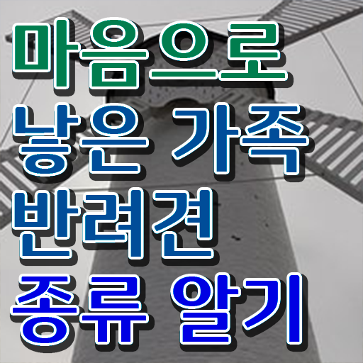  반려동물관리사 자격증 취득 무료수강 알아보기 !!!