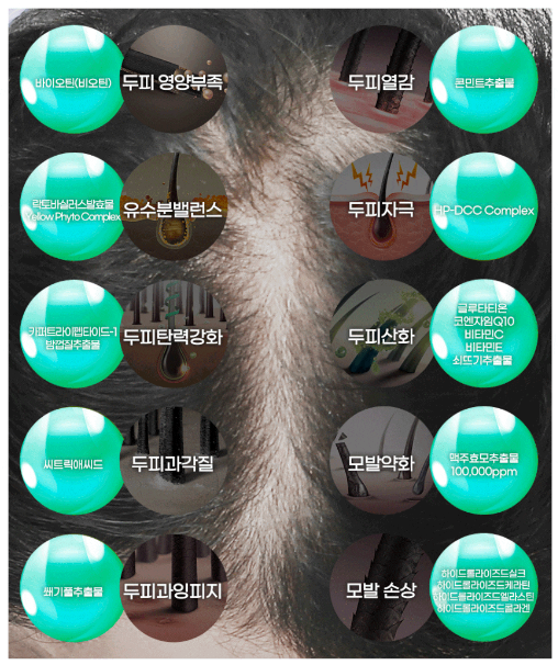  머리카락안빠지는샴푸?20년차 피부전문가가 알려드립니다