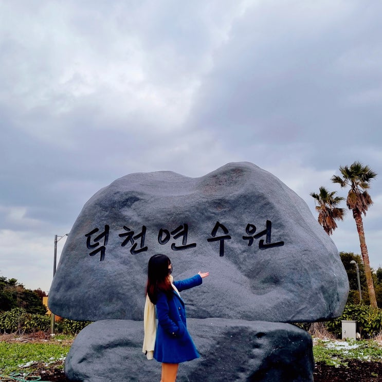  제주 덕천연수원 예약 방법 & 별관 패밀리룸 제주도 가성비 숙소 후기