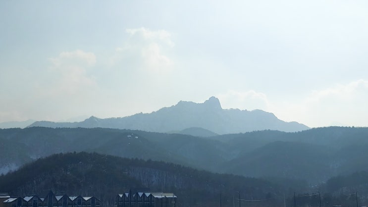  설날 당일 속초 무박 내 돈 내산 아들과 단둘이