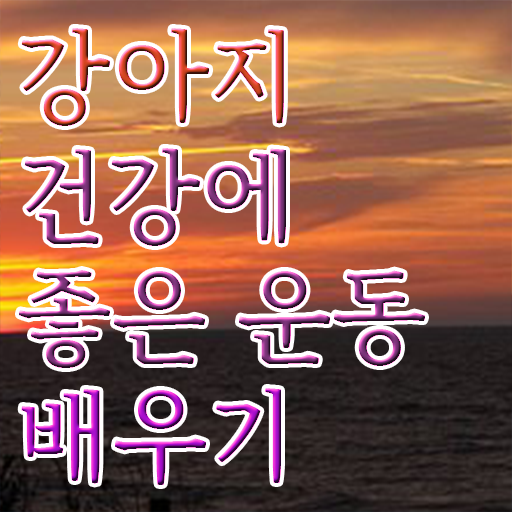  반려견운동지도사 자격증 무료강의 여기부터 보고가세요 ?