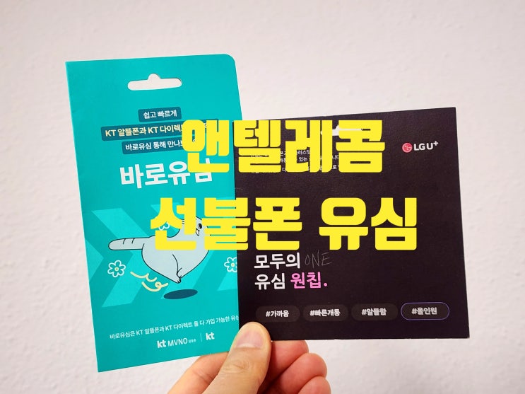  앤텔레콤 선불폰 유심 개통 방법 총정리