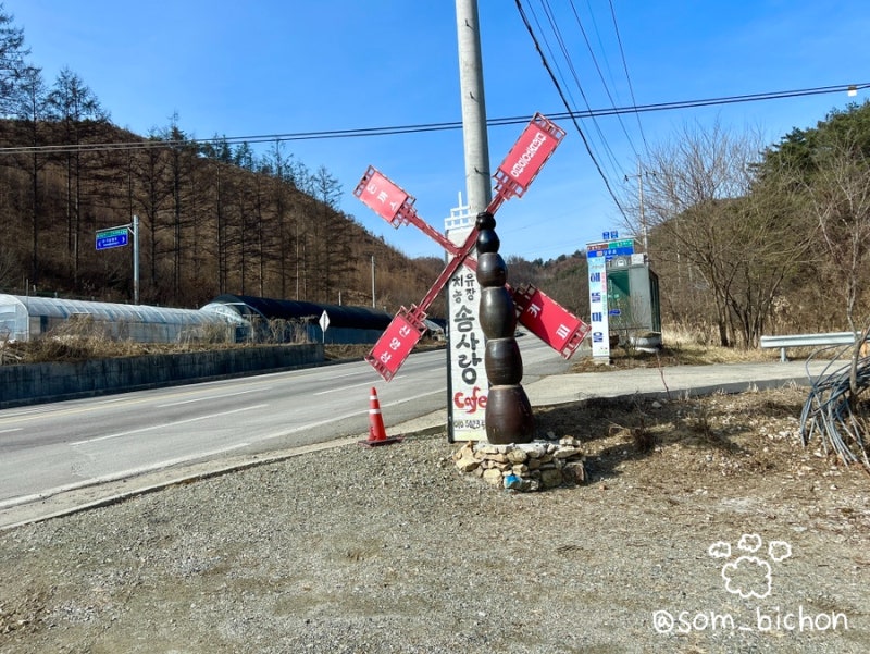 사진 2