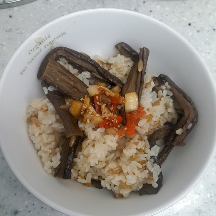  항암효과에 좋은 가지 밥, 가지 밥 먹고 나면 속까지 편해요