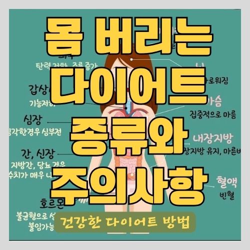 의사가 알려주는 부작용을 일으키는 다이어트 방법( 칼로리 제한, 저지방 식단, 인슐린 저항성)과 안전하게 살 빼는 법