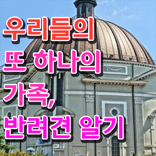  반려동물 관리사 시험 전망 여기부터 보고가세요 ?