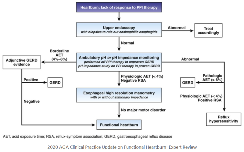 역류 식도염, 역류 과민성, 기능성 가슴쓰림 [Reflux esphagitis, Reflux hypersensitivity ...