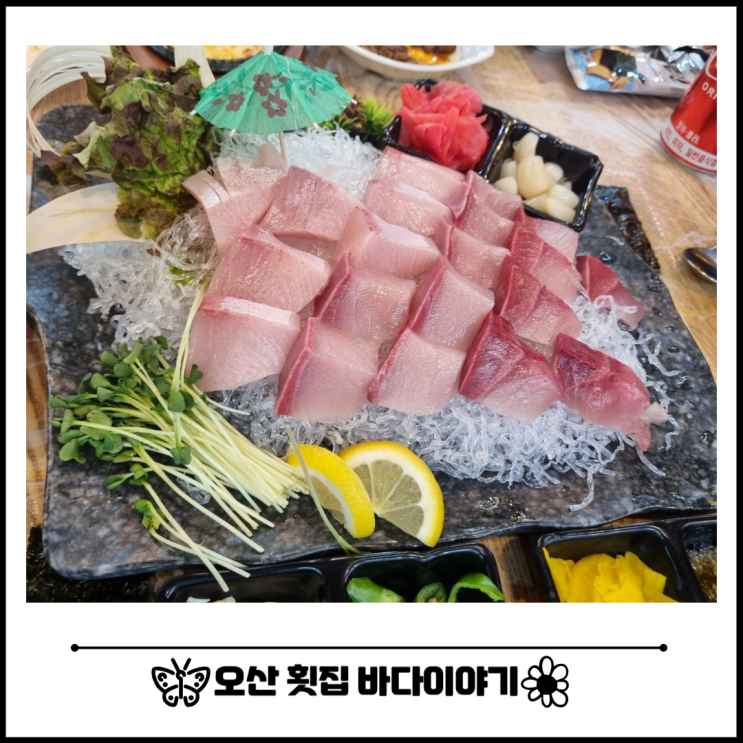 오산 세교 횟집 바다이야기 오산점 가족 외식 맛집