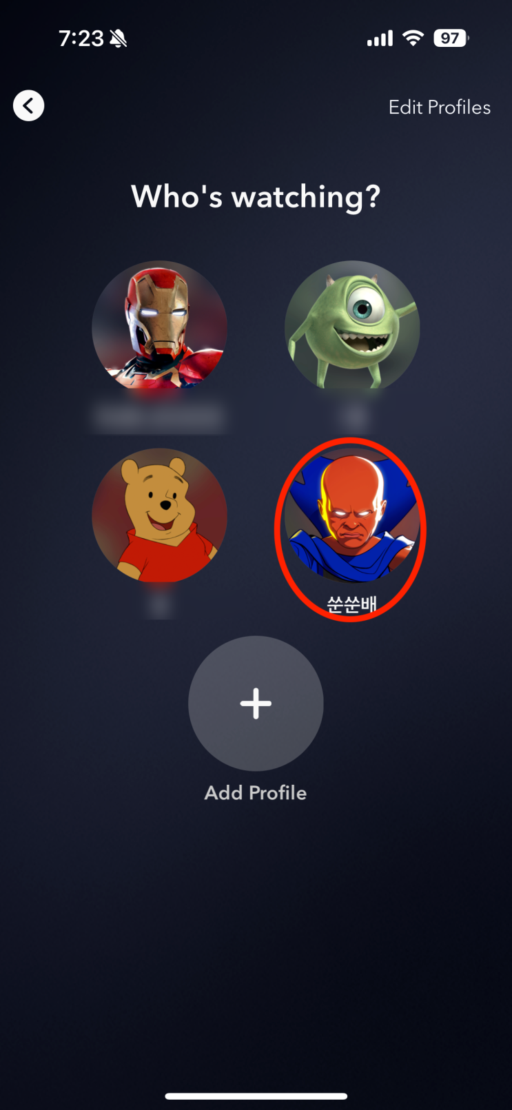 <디즈니플러스> 프로필 언어 바꾸는 방법 공유!