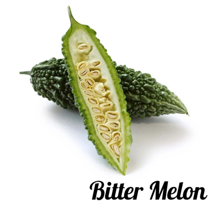  여주정 BITTERMELON 여주효능 미국영양제소개1