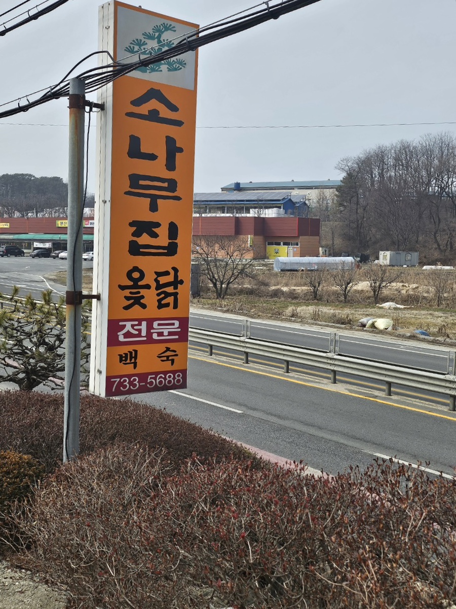 소나무집옻닭 사진 1