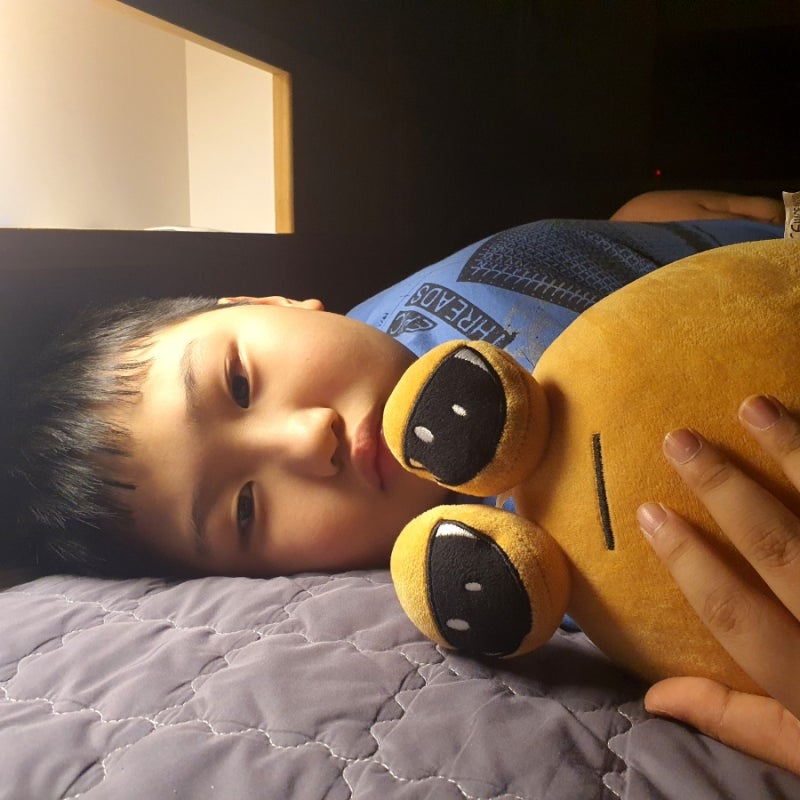 슬픈달팽이 왕눈이 포우 인형 Pou 나캠든 : 네이버 블로그