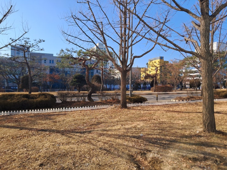  부산 손해사정사 및 손해사정인의 세밀하면서 확정적인 설명과 상담