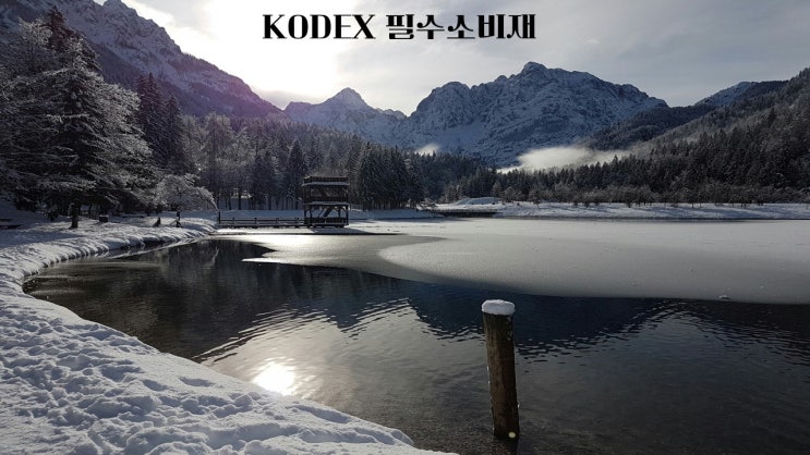  KODEX 필수소비재/266410