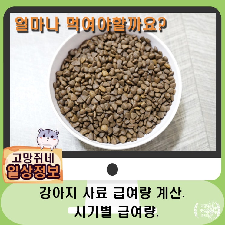  강아지 적정 사료 급여량 계산하는 법.