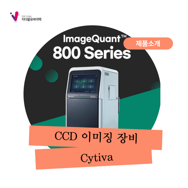 [Cytiva] CCD 이미징 장비 IQ800
