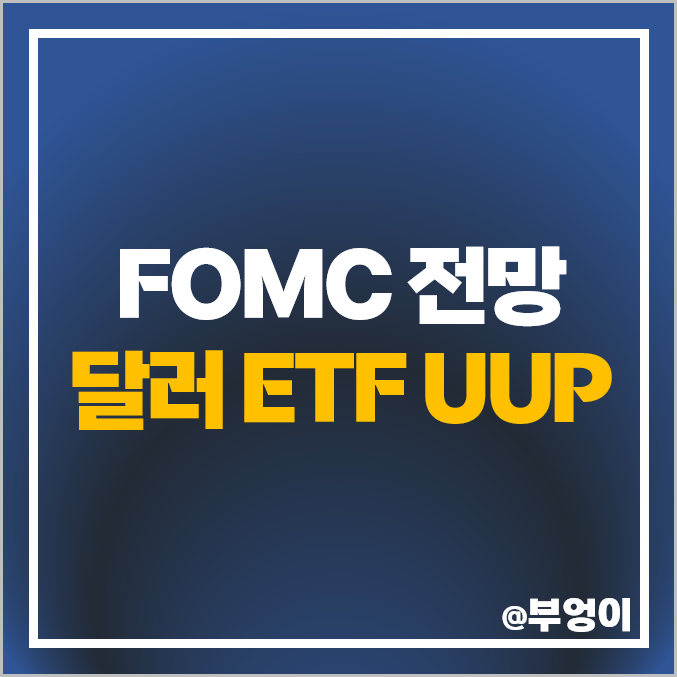 달러 투자 방법 미국 달러 ETF UUP 활용 재테크 FOMC 전망