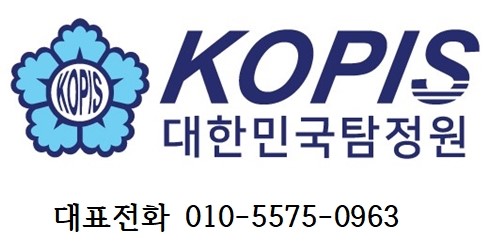   탐정업무