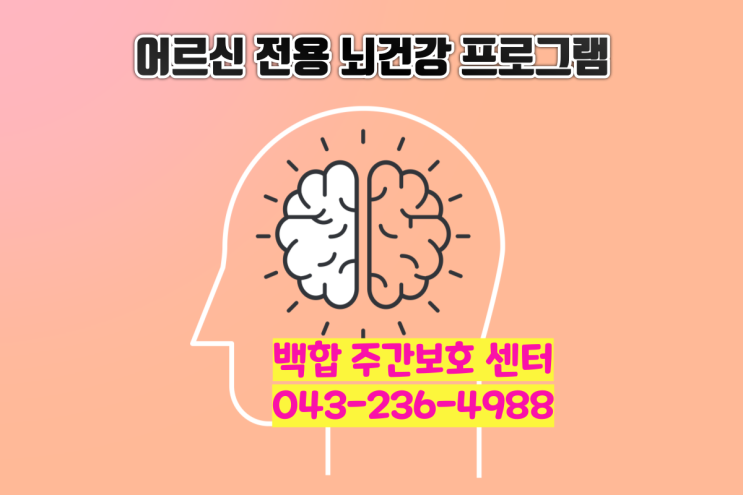 [청주주간보호센터] 어르신을 위한 따뜻한 돌봄과 뇌 건강 프로그램
