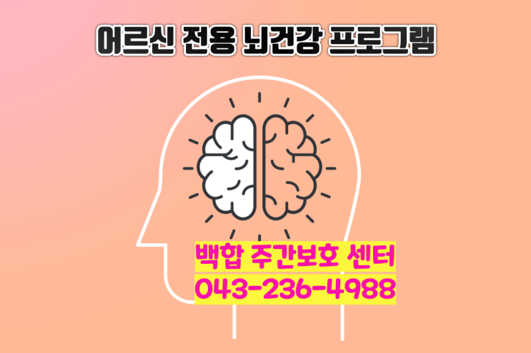  [청주주간보호센터] 어르신을 위한 따뜻한 돌봄과 뇌 건강 프로그램