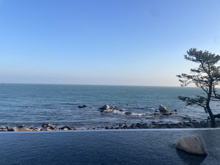  울산 오션뷰 1등 카페 : 호피폴라 ️(24시간)