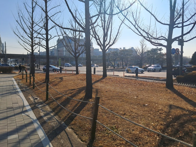  평창 손해사정사 및 손해사정인의 디테일하면서 간략한 해설과 상담