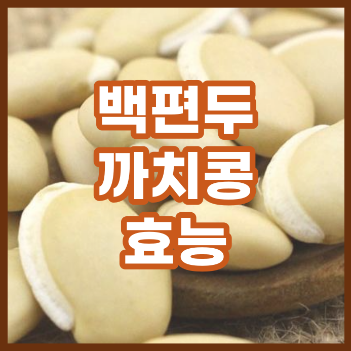  백편두(까치콩, 제비콩) 효능 주의점, 체질