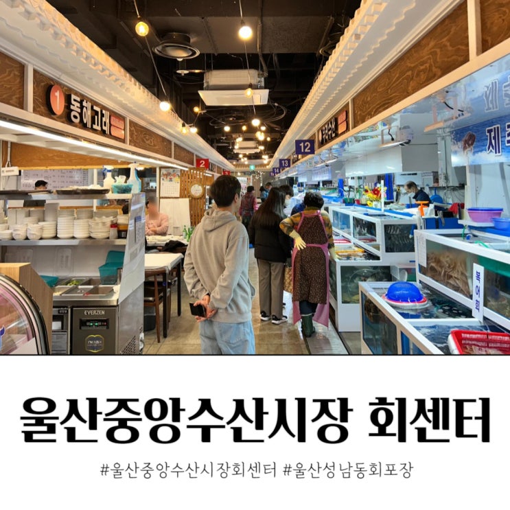 울산중앙수산시장 회센터 성남동 회 포장