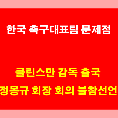 <b>클린스만</b> <b>정몽규</b> 한국 축구대표팀 문제점