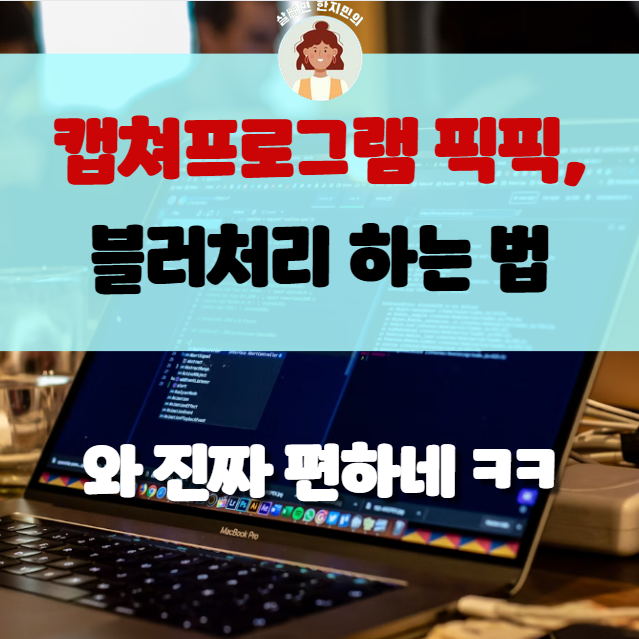  캡쳐프로그램 픽픽으로 이미지 블러처리 및 모자이 하는 방법