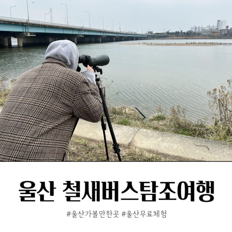  울산 가볼만한곳 철새버스탐조여행 무료 체험