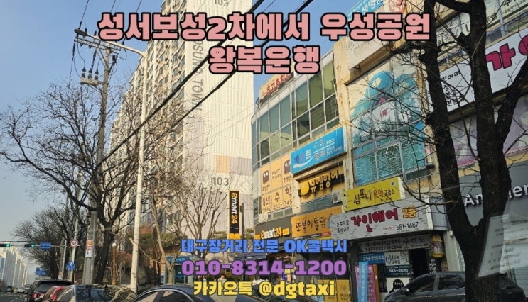  대구대절택시 - 성서보성2차에서 성주 우성공원 왕복운행