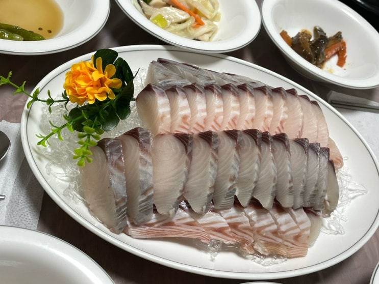 해남 솥밥이 맛있는 삼치회 맛집 추천 이학식당 내돈내산