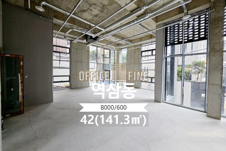  강남 사무실 신논현역 5분 역삼동 42(141.3) 신축 건물 층고 5미터 사무실 [강남구 사무실 - 역삼동 사무실]