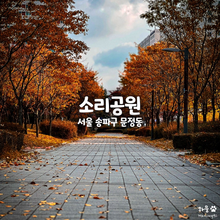  서울산책하기좋은곳 송파 문정역 애견동반산책로 소리공원