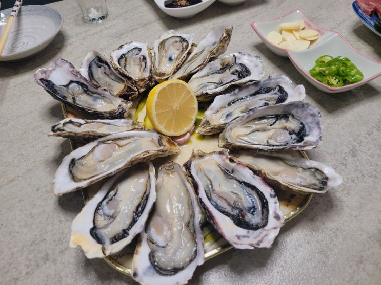  마산 통술집 오동동 강림통술 1호점/홈술에 안주가 다했다