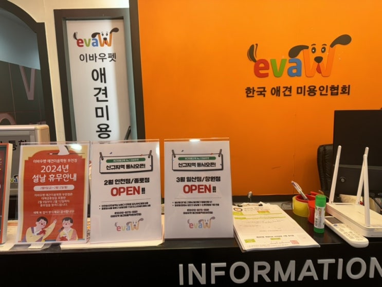  강아지미용자격증 취득이 목표 면 안됩니다