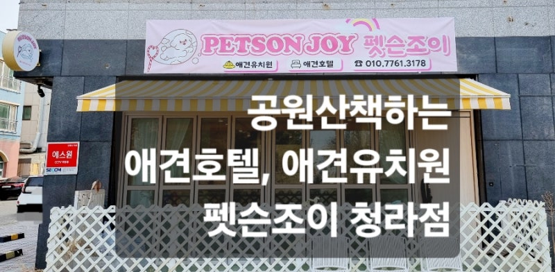 사진 3