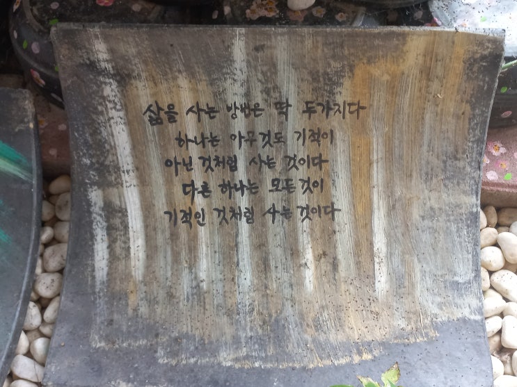  이런 상담만 하고싶다...