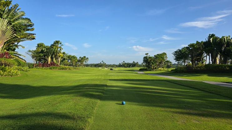  [조호바루(조호르바루)] 포레스트시티 골프 리조트 - 클래식 코스 후기. 레인체크? (Forest City Golf Resort - Classic course)