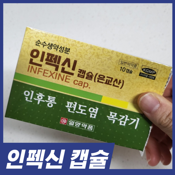  인펙신캡슐 목감기약 후기! 약국 감기약 효능 효과 복용법
