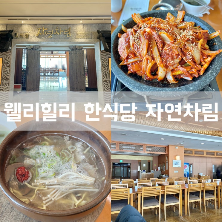  자연차림 웰리힐리파크 리조트 한식 식당 맛집 메뉴 가격